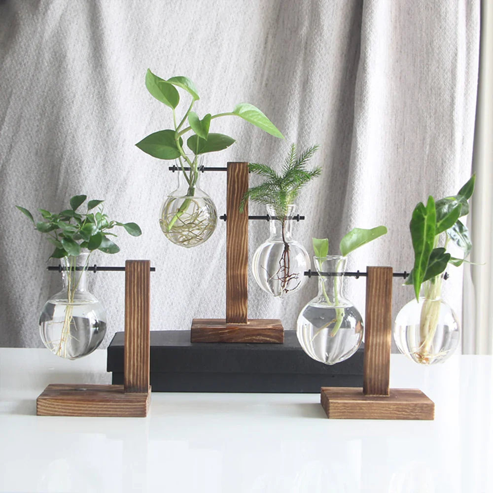 Hydroponic Glass Bulb Planter with Wooden Stand – Minimalist Tabletop Vase for Home & Office