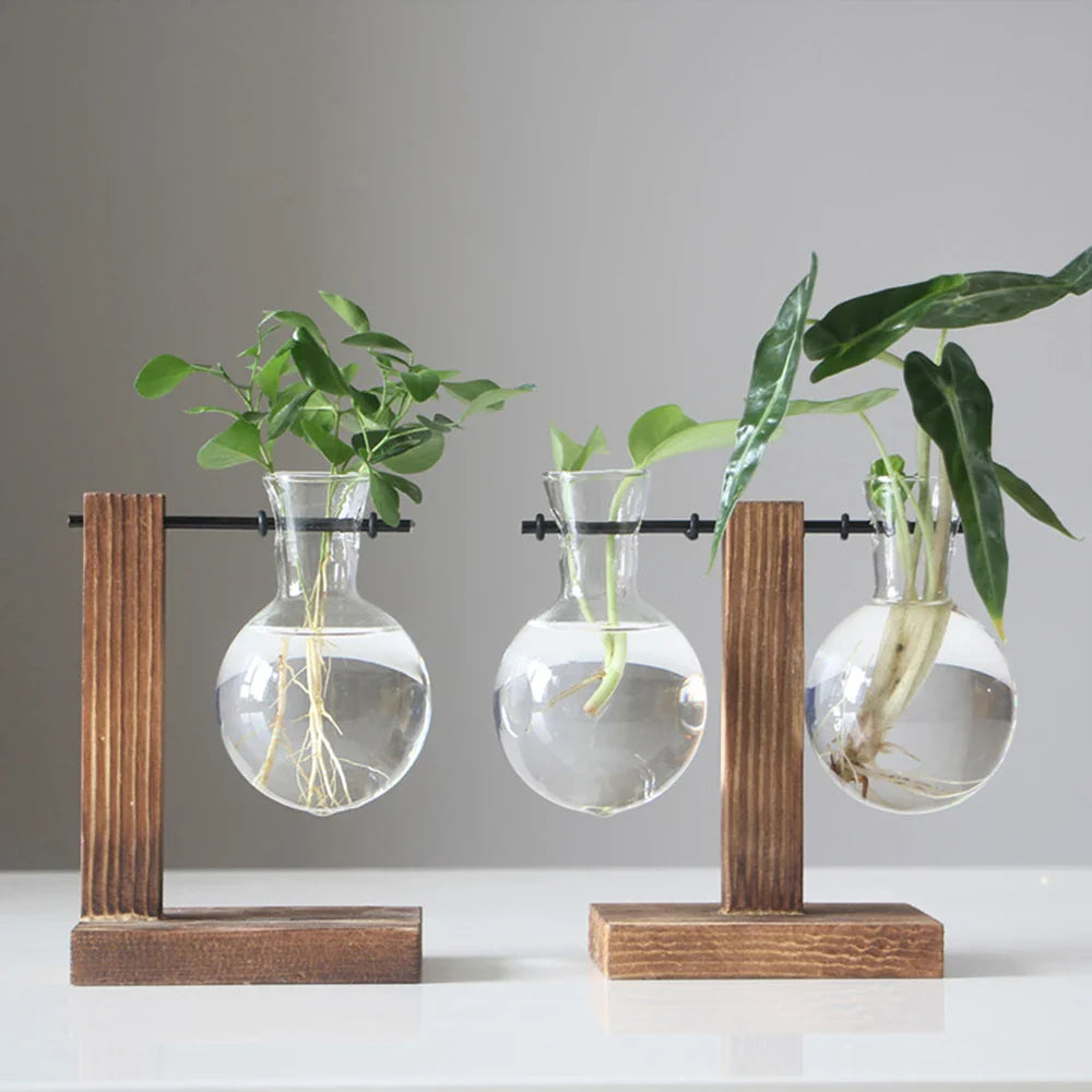 Hydroponic Glass Bulb Planter with Wooden Stand – Minimalist Tabletop Vase for Home & Office