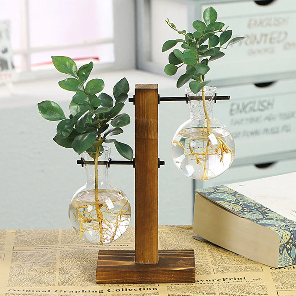 Hydroponic Glass Bulb Planter with Wooden Stand – Minimalist Tabletop Vase for Home & Office