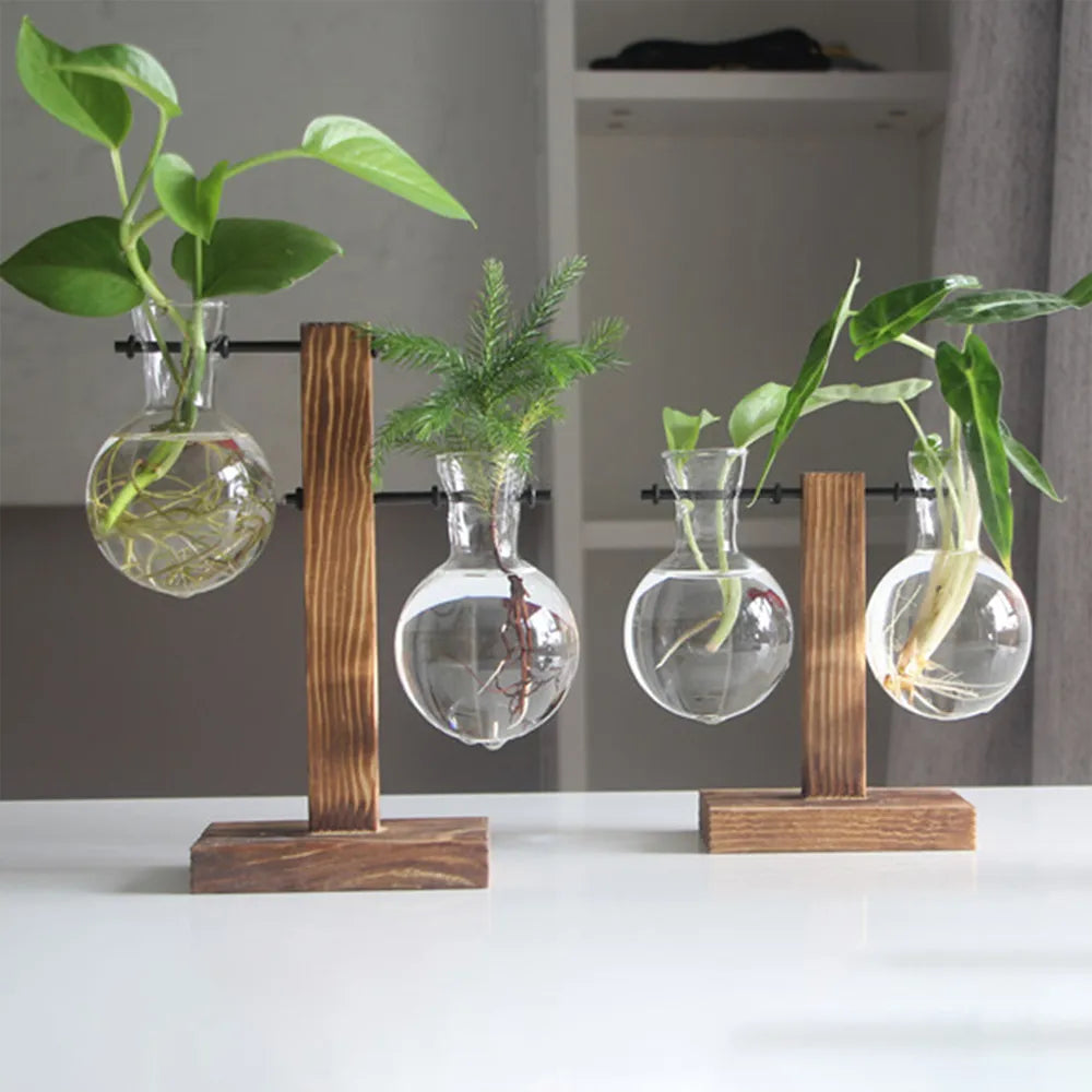 Hydroponic Glass Bulb Planter with Wooden Stand – Minimalist Tabletop Vase for Home & Office